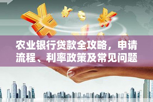 崇安农业银行贷款全攻略，申请流程、利率政策及常见问题解析