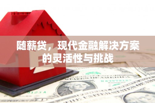 崇安随薪贷，现代金融解决方案的灵活性与挑战