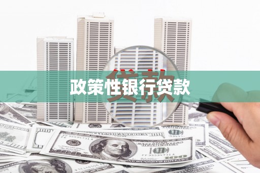 崇安政策性银行贷款