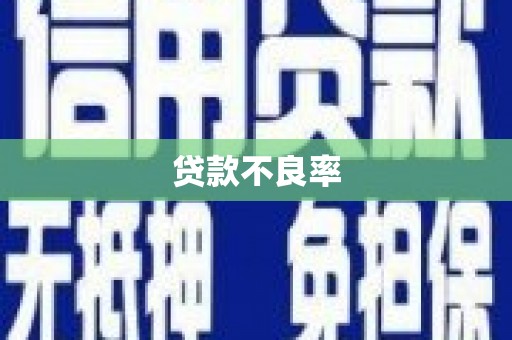 崇安贷款不良率