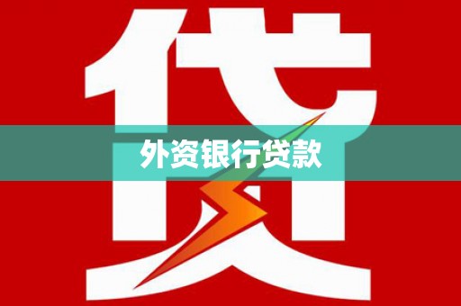 崇安外资银行贷款