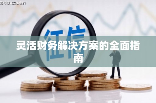 崇安灵活财务解决方案的全面指南
