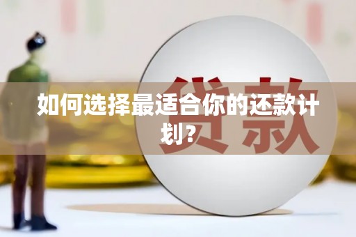 崇安如何选择最适合你的还款计划？