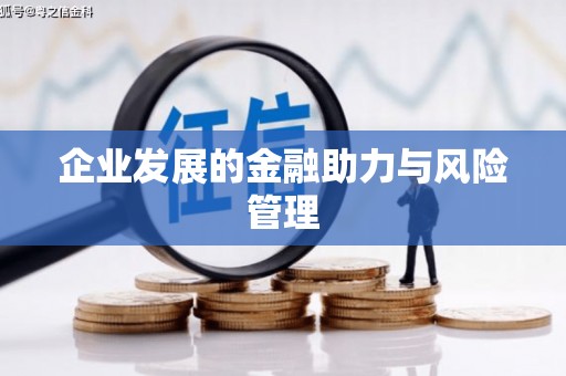 崇安企业发展的金融助力与风险管理
