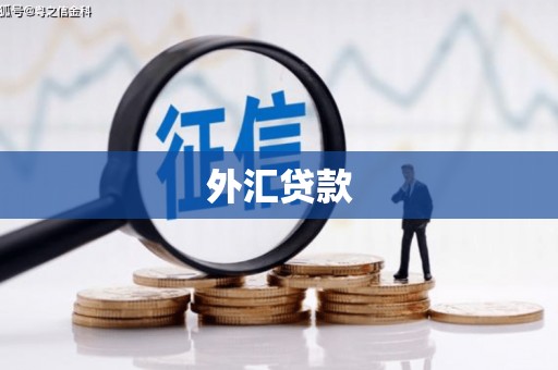 崇安外汇贷款