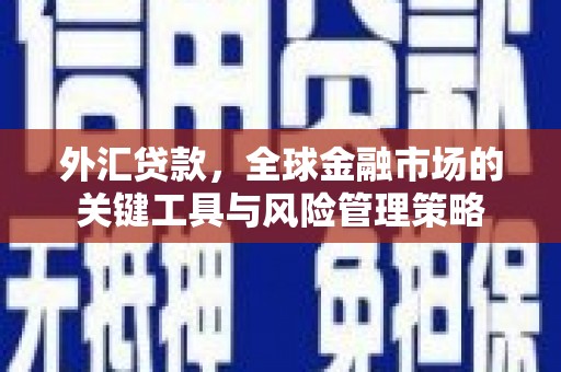 崇安外汇贷款，全球金融市场的关键工具与风险管理策略
