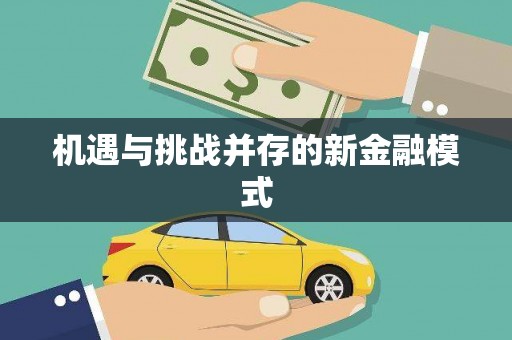 崇安机遇与挑战并存的新金融模式