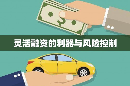 崇安灵活融资的利器与风险控制