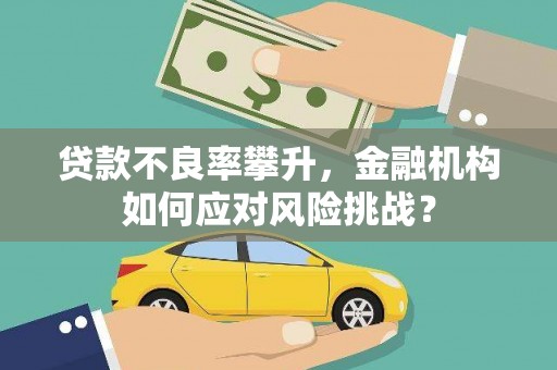 崇安贷款不良率攀升，金融机构如何应对风险挑战？