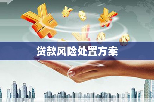 崇安贷款风险处置方案