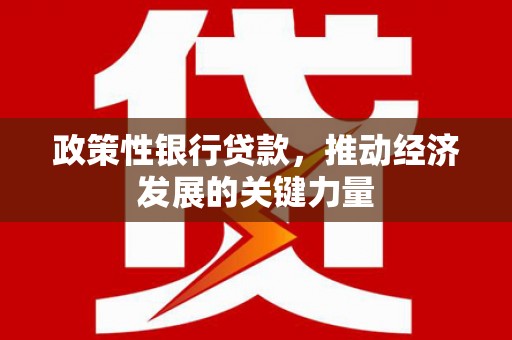 崇安政策性银行贷款，推动经济发展的关键力量