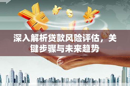 崇安深入解析贷款风险评估，关键步骤与未来趋势