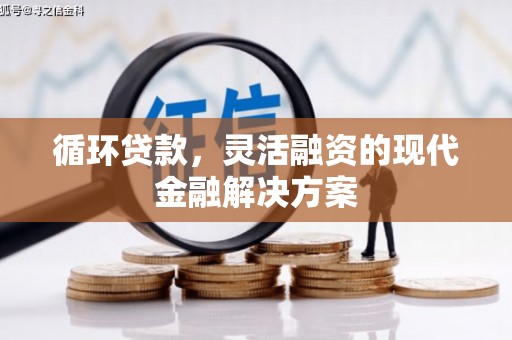 崇安循环贷款，灵活融资的现代金融解决方案
