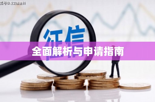 崇安全面解析与申请指南