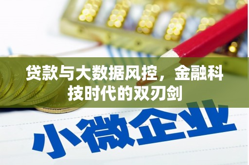崇安贷款与大数据风控，金融科技时代的双刃剑