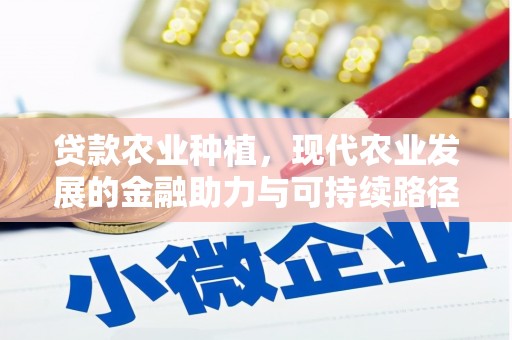 崇安贷款农业种植，现代农业发展的金融助力与可持续路径