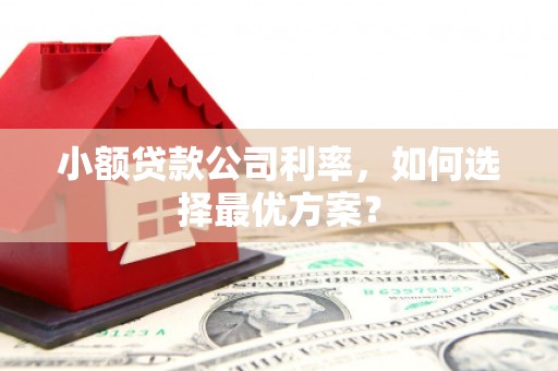 崇安小额贷款公司利率，如何选择最优方案？
