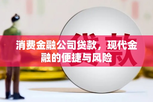 崇安消费金融公司贷款，现代金融的便捷与风险