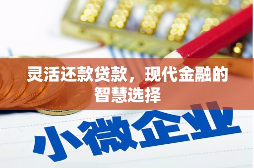 崇安灵活还款贷款，现代金融的智慧选择