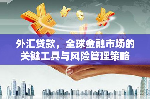 崇安外汇贷款，全球金融市场的关键工具与风险管理策略