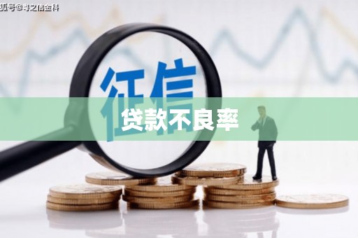 崇安贷款不良率