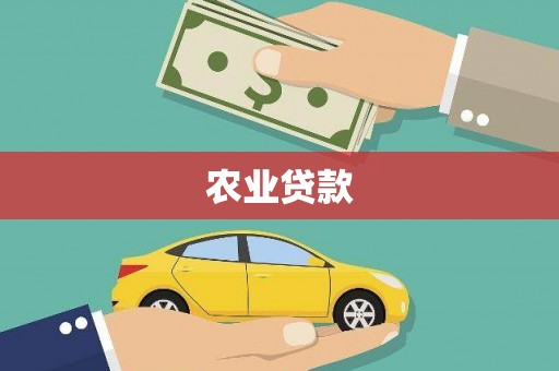 崇安农业贷款