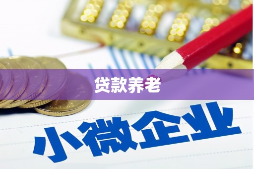 崇安贷款养老