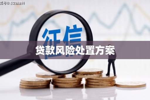 崇安贷款风险处置方案
