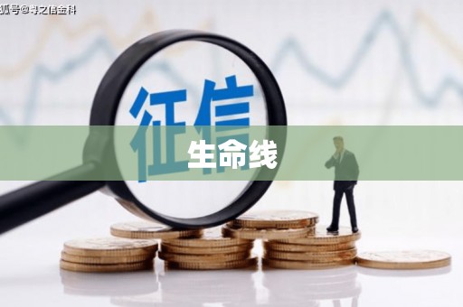崇安生命线