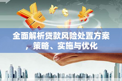 崇安全面解析贷款风险处置方案，策略、实施与优化