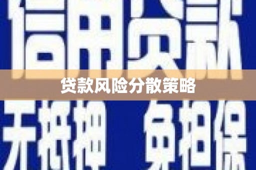 崇安贷款风险分散策略