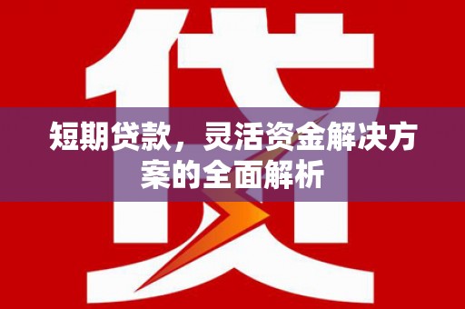 崇安短期贷款，灵活资金解决方案的全面解析