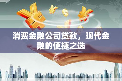 崇安消费金融公司贷款，现代金融的便捷之选