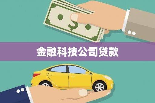 崇安金融科技公司贷款