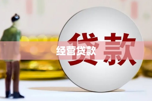 崇安经营贷款