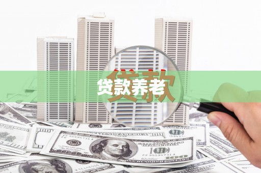 崇安贷款养老