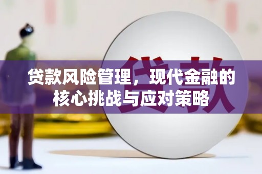 崇安贷款风险管理，现代金融的核心挑战与应对策略