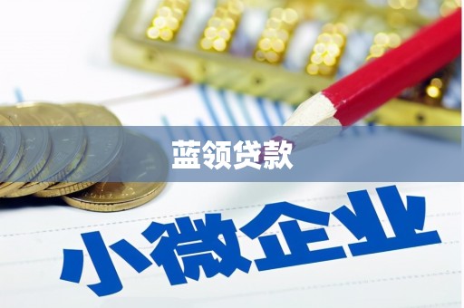 崇安蓝领贷款