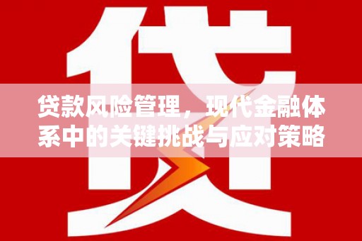 崇安贷款风险管理，现代金融体系中的关键挑战与应对策略