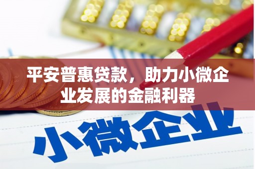 崇安平安普惠贷款，助力小微企业发展的金融利器
