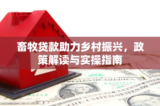 崇安畜牧贷款助力乡村振兴，政策解读与实操指南
