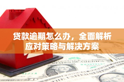 崇安贷款逾期怎么办，全面解析应对策略与解决方案