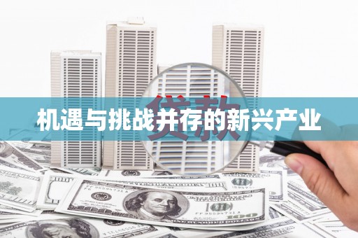 崇安机遇与挑战并存的新兴产业