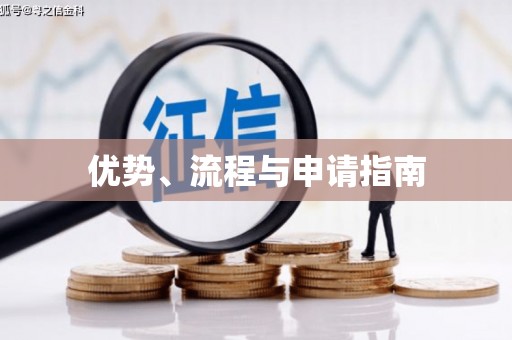 崇安优势、流程与申请指南