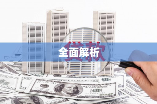 崇安全面解析