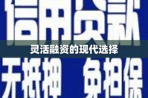 崇安灵活融资的现代选择