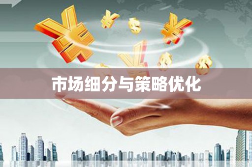崇安市场细分与策略优化