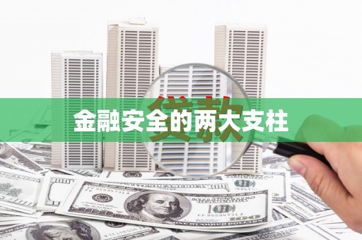 崇安金融安全的两大支柱