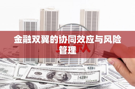 崇安金融双翼的协同效应与风险管理