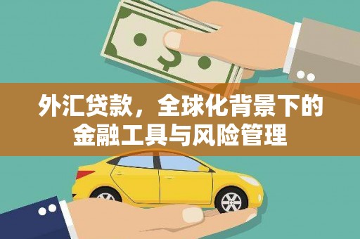 崇安外汇贷款，全球化背景下的金融工具与风险管理